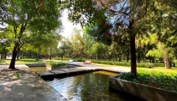 El parque Rufino Tamayo en Chapultepec